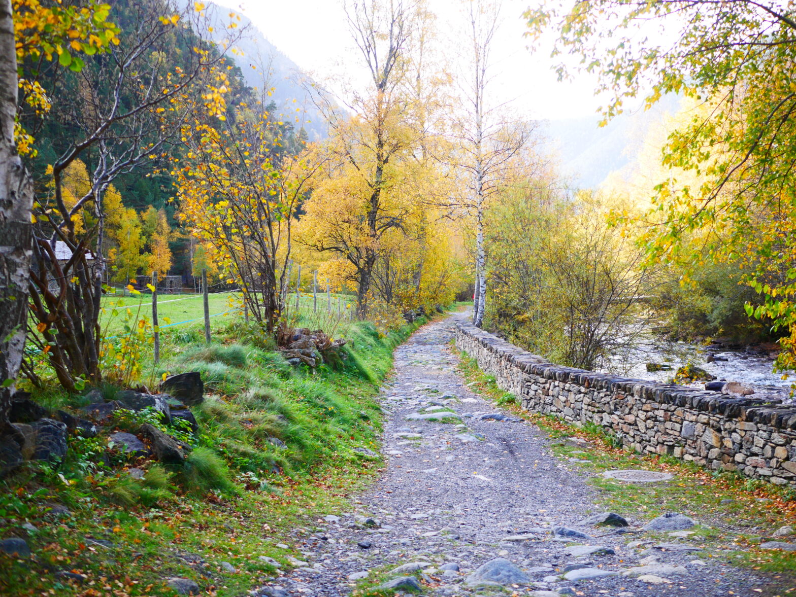 Route du fer - Andorre