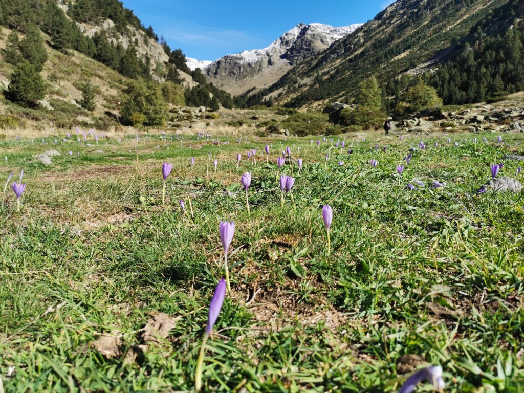 Randonnée - Vallée de Sorteny