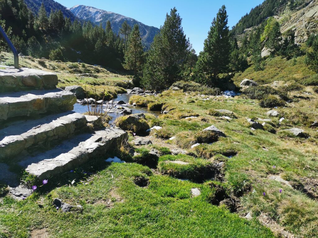 Une dernière pour la route